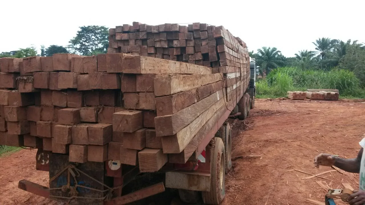 Iroko lumber loaded on transport truck - bulk timber supply Cameroon