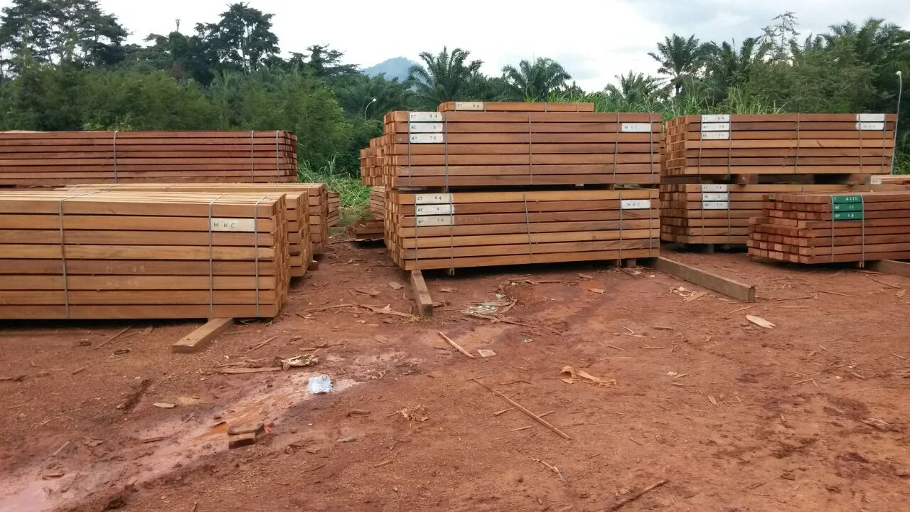 Sorted Iroko lumber pallets with export markings at Douala facility