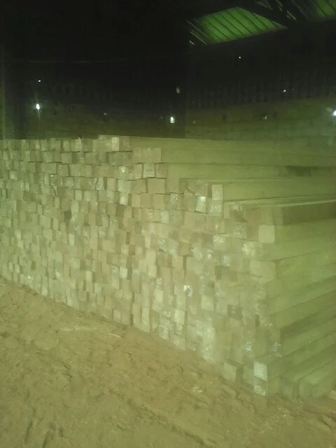 Sustainable Forestry Practices in Cameroon