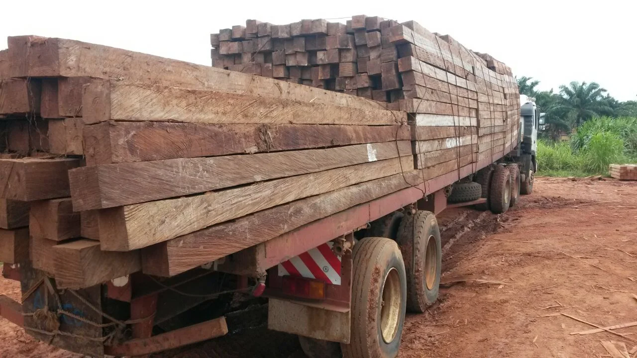 Heavy-duty truck loaded with Iroko timber for port transport