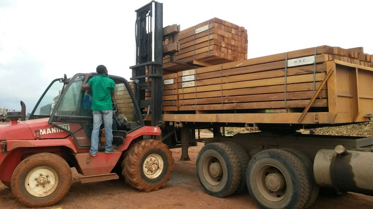 ETS JASPARH forklift loading Iroko timber bundles onto container truck